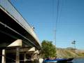 videos de bridge #2
