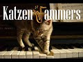 Katzenjammers - Somliga dagar
