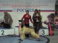 POLO's TOP GEAR - competitor for EUKANUBA WORLD CHALLENGE