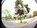Robbie Gangemi Zoo York Mix Tape