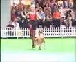 Ginnie and Kath Hardman CanCan Crufts