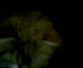 freddy-danny-juniour.html
