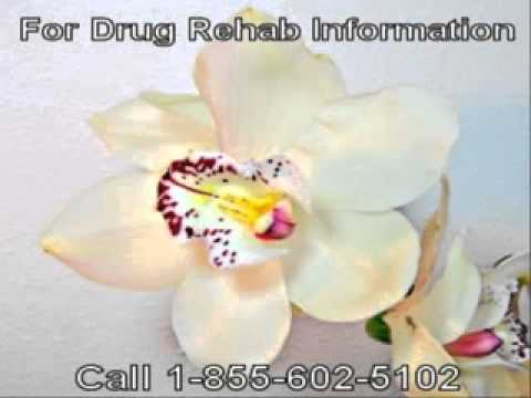 Friend Needs a Alcohol Addiction Rehab Near Santa Fe