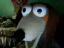 YouTube - Loren Feldman the Dog