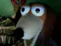 Loren Feldman the Dog