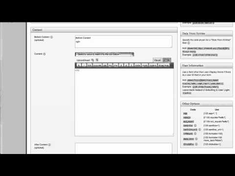 How to Create a Dynamic Custom Display