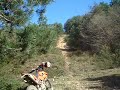HILL CLIMB KTM