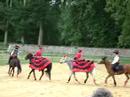 carrousel niortais