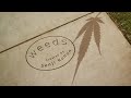 Weeds opening sequence