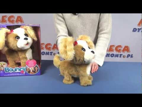 piesek - Szczegóły na stronie: http://sklep.megadyskont.pl/pl/interaktywny-piesek-bouncy-fur-real-friends-hasbro-a0514.html Interaktywny piesek Bouncy szybko stanie s...