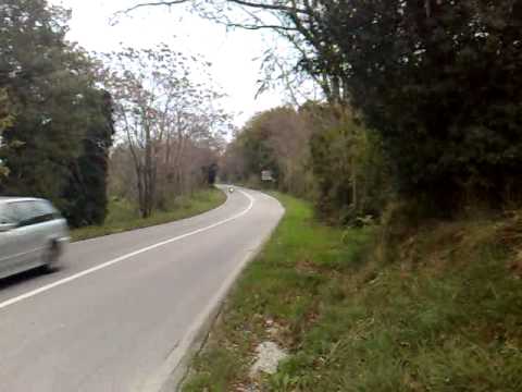 Roost -