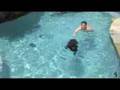 Maple Learns To Swim