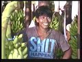Let us go bananas - Part 1