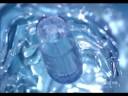 Laneige Hydra Solution, 闪烁的雪花(snow)的美麗 - 蘭芝