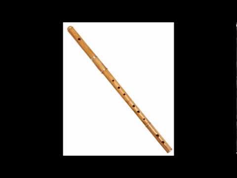 313 - The Flute Concerto No. 1 in G major (K. 313) was written in 1778 by Wolfgang Amadeus Mozart. Commissioned by the Dutch flautist Ferdinand De Jean in 1777, Mo...