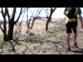 trail run in Okutama