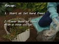 Wisconsin winter garden tips Wisconsin winter garden tips
