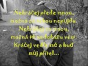 pro barenku