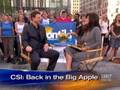 Gary Sinise On 'CSI:NY' (CBS News)