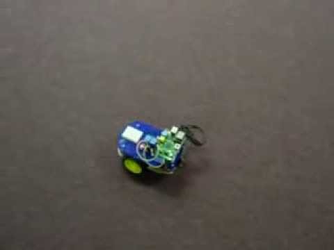 Pi Bot