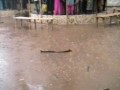 বৃষ্টিতে পন্ড বইমেলা