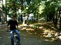 videos de tyłem do przodu