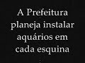 fatos-nmeros-edio-02-.html