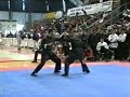 Mantis vs Snake (Fabio-Stefano)