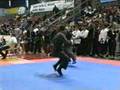Mantis vs Snake (Fabio-Stefano)