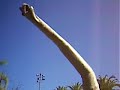 Jurrasic Park - Universal Studio\