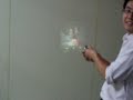 Projector Cell Phone N70