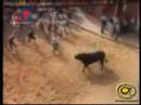 Toro Enmaromado 2006 (salida del toril) Toro Enmaromado 2006 (salida del toril)