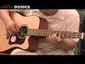 D550CE Walden Guitar