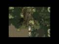 videos de Tales of Phantasia opening (snes)