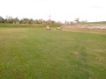 ds 450 vs yfz 450 both stock