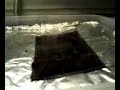 Aeroponic fog system DAY 1 Aeroponic fog system DAY 1