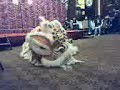 Traditional HK Lion - Hong Kong CHeung Keung Traditional HK Lion - Hong Kong CHeung Keung