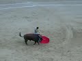 Curro D�az y el quinto de Cuvillo