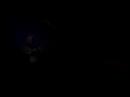 Trailer (1)