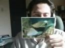 Postcards from silverscreamgrl