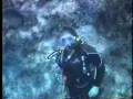Shark Pass, Bikini Atoll