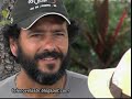 Cama de Gato: Capitulo 56 [P2]