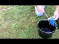 The Bugman - March Biological Control - How To Use Beneficial Nematodes - Fly Control -