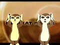 Meerkat Manor Caramelldansen PREVIEW!!!!!!