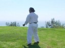 karate kata demonstrated by Ted Hamaguchi