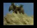 Assistir ao v�deo