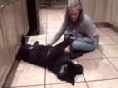 Dante Dog at 45 pounds Dante Dog at 45 pounds