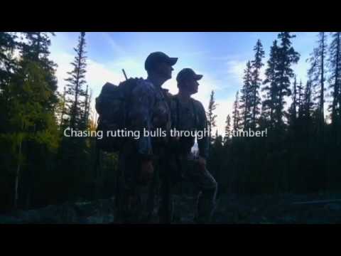 scotts-elk-hunt-with-the-crowthers