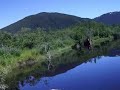stikine run july 07