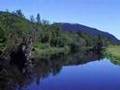 stikine run july 07